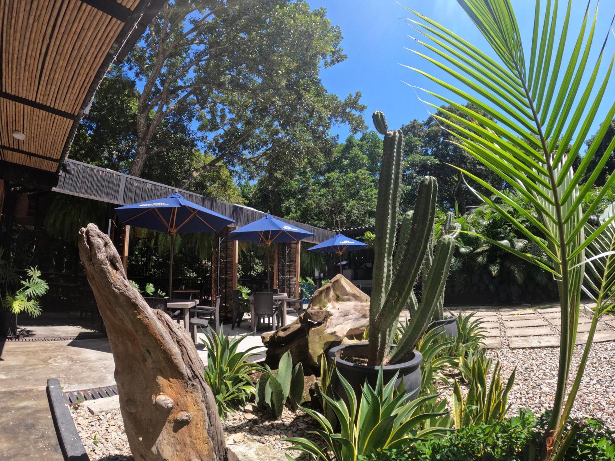 Hotel Casa De Hadas Minca Dış mekan fotoğraf
